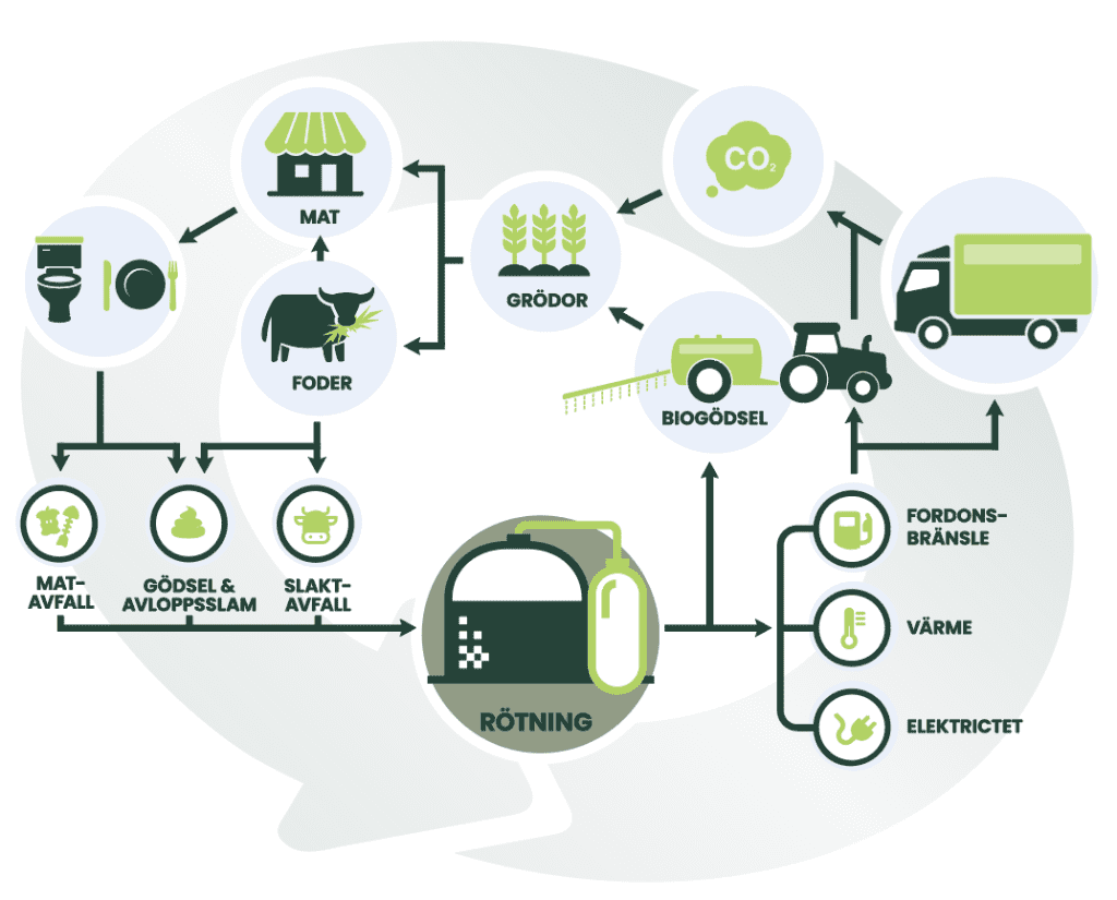 Biogasproduktion sluter kretsloppet